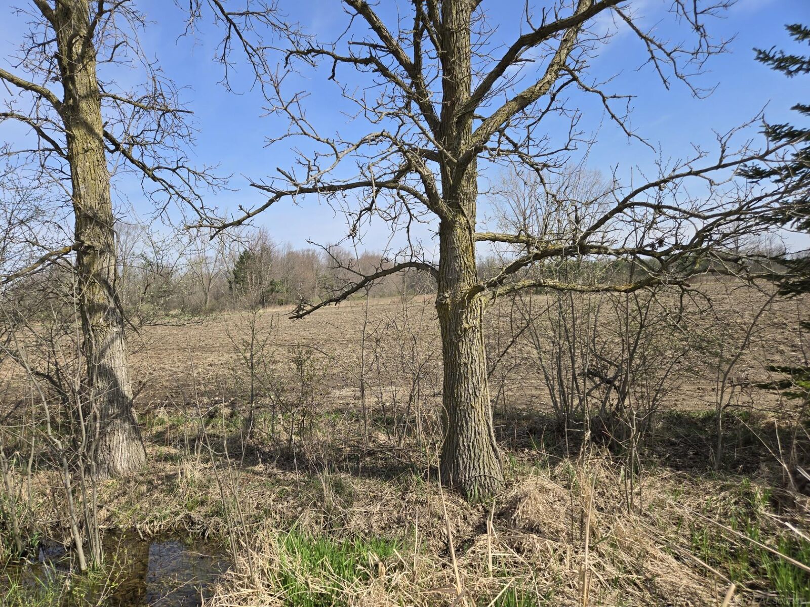 Property Photo:  0 Weber (Lot C) Road  MI 48063 