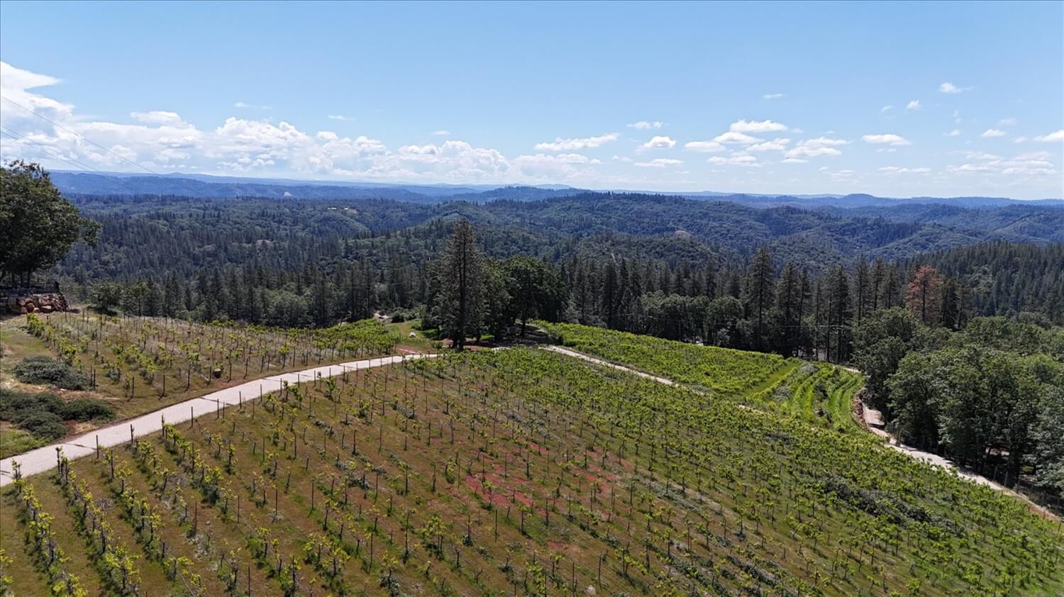 Property Photo:  19698 View Forever Lane  CA 95945 