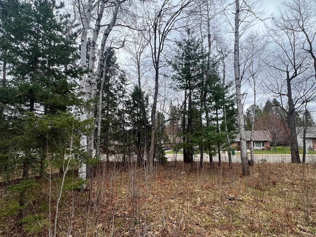 Property Photo: Tbd 3rd Avenue SW MN 55744