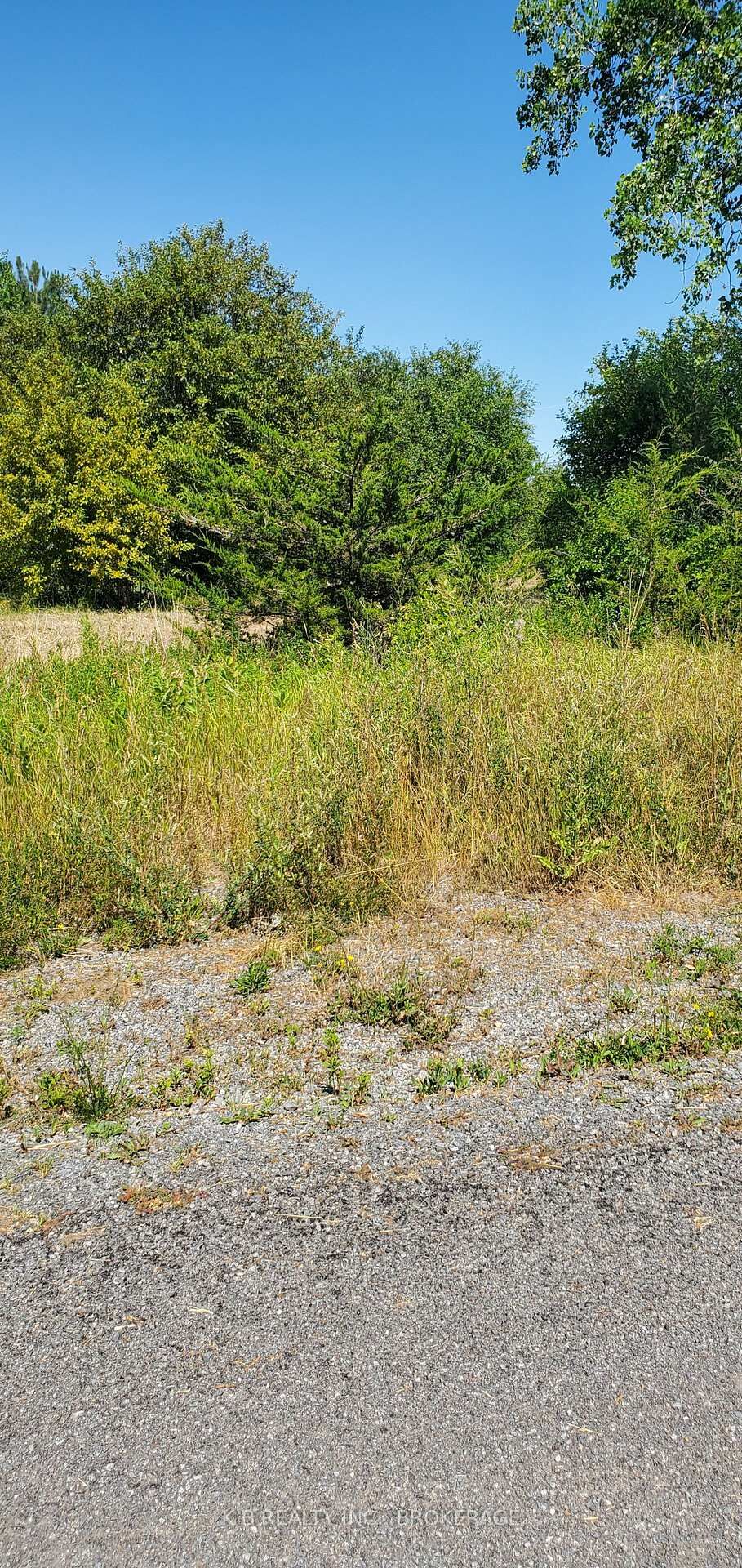Property Photo:  66 Dorland Drive  ON K7R 3K7 