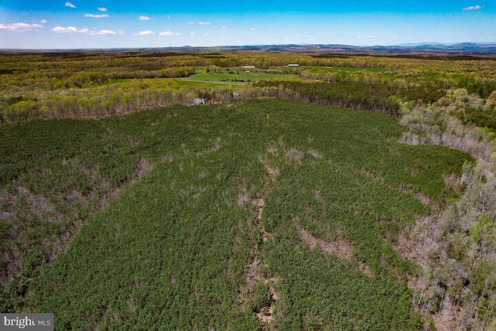 Property Photo:  116.32 Acres Gilliam Mill Road  VA 23936 
