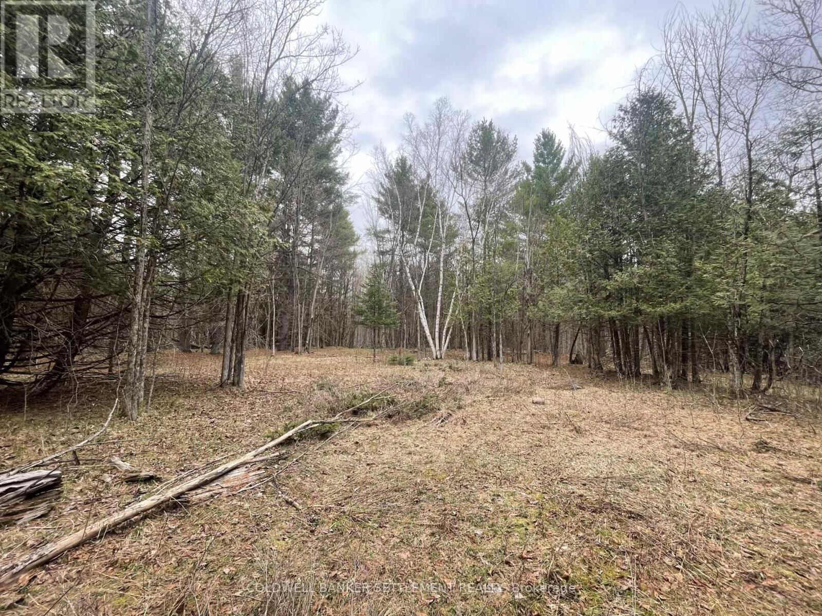 Property Photo:  1008 Dalhousie 6A Corners  ON K0G 1K0 
