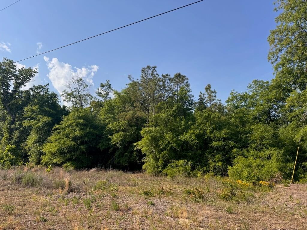 Property Photo:  2716 W Highway 378 Hannah  SC 29546 