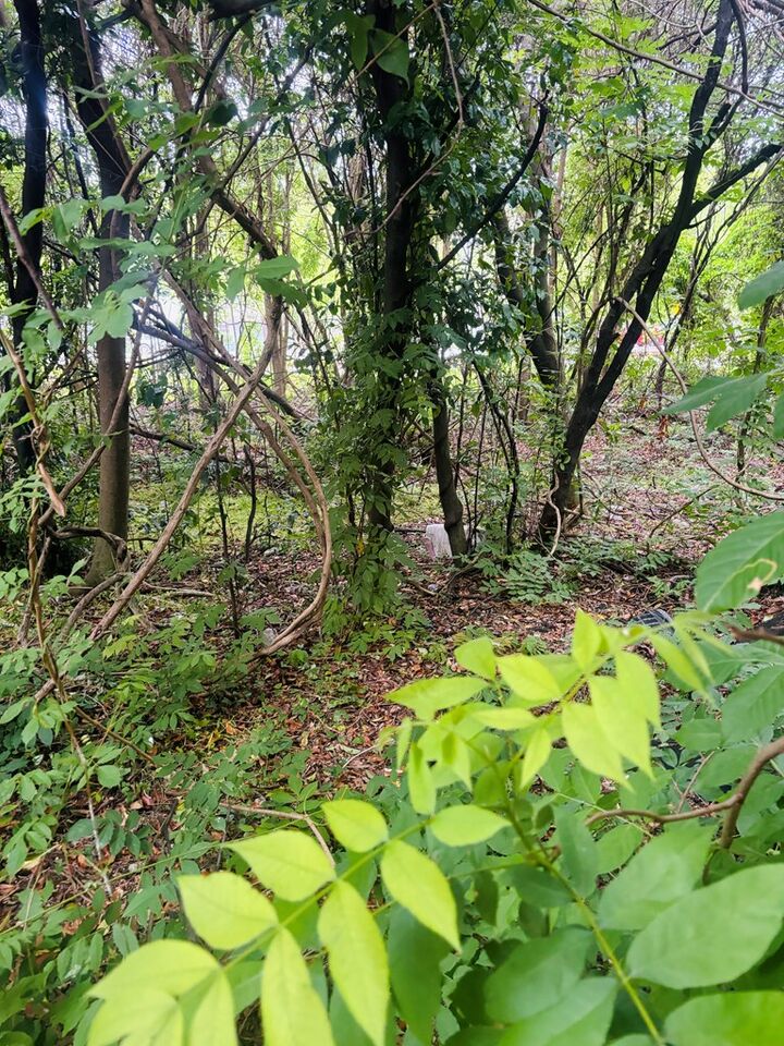 Property Photo:  0 Hills Ally  GA 31079 