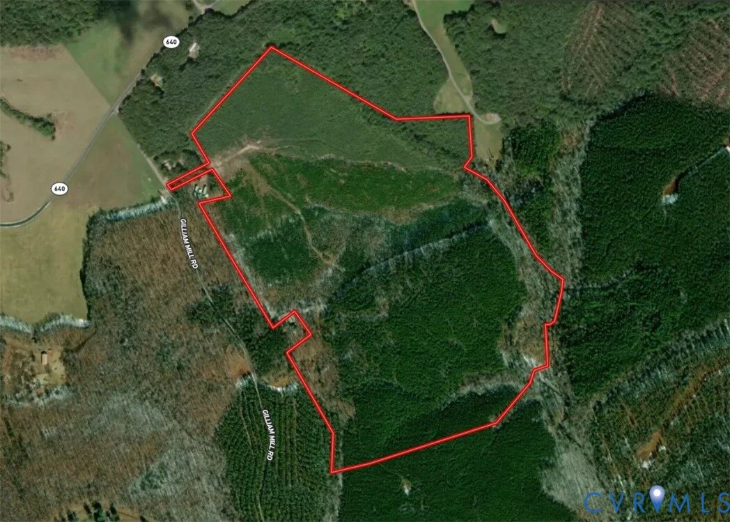 Property Photo:  116.32 Acres Gilliam Mill Road  VA 23936 