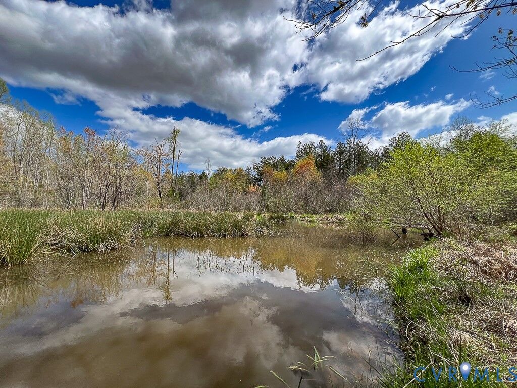 Property Photo:  116.32 Acres Gilliam Mill Road  VA 23936 