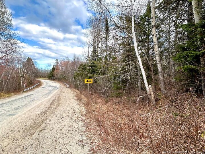 Property Photo:  2.87 Acres Portage River Road  NB E9A 1G6 