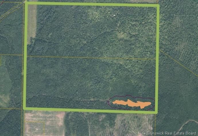 200 Acres Walker Road — photo 1