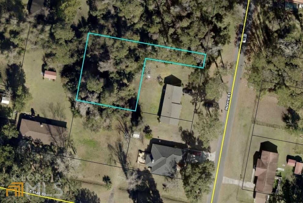 Property Photo:  0 Norris Street  GA 31558 