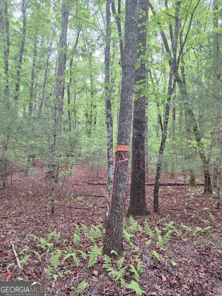 Property Photo:  Lot 14 Noontootla Ridge Court  GA 30513 
