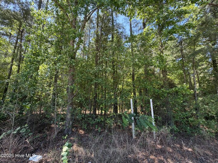 Property Photo: 800 Slocomb Road NC 28311