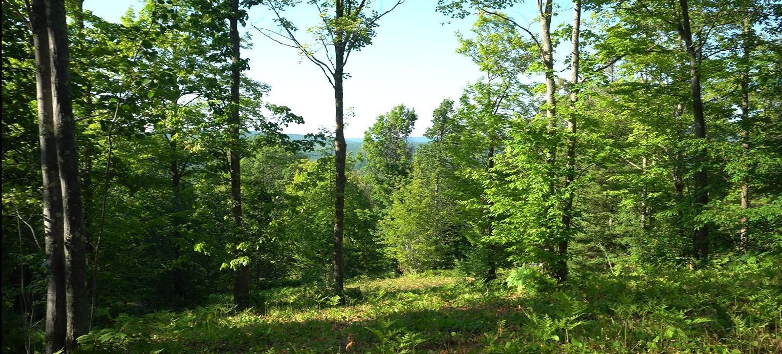 Property Photo:  83xxx - Lot 13 Ashwabay Road  WI 54814 