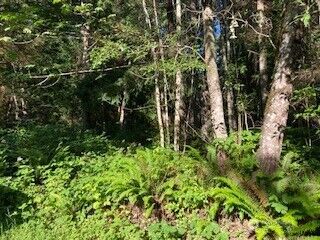 Property Photo: 321 Neat Avenue NE WA 98346