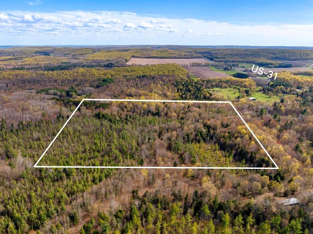 Property Photo:  00 Benzie Highway  MI 49616 