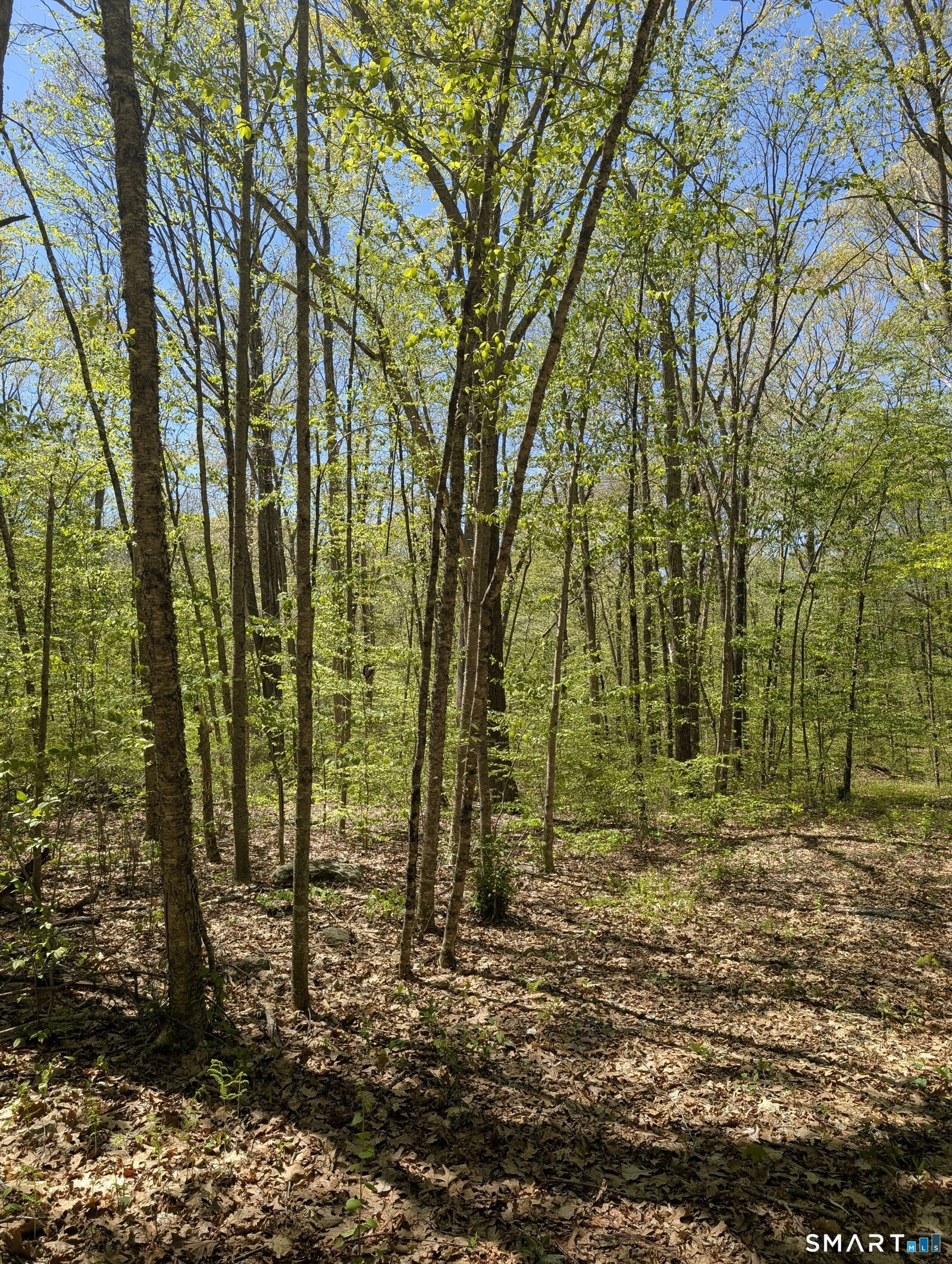 Property Photo:  Englewood Trail  CT 06238 