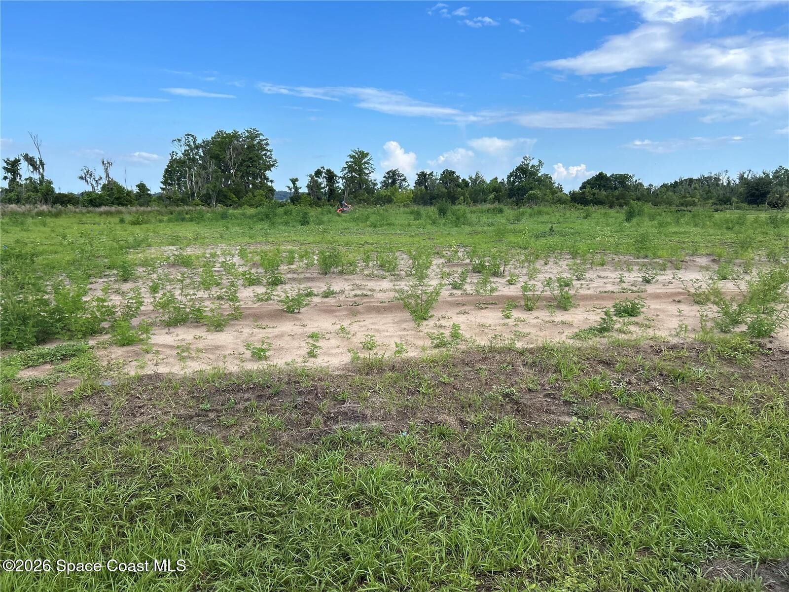 Property Photo:  12942 Stillwater Cove Drive  FL 34705 