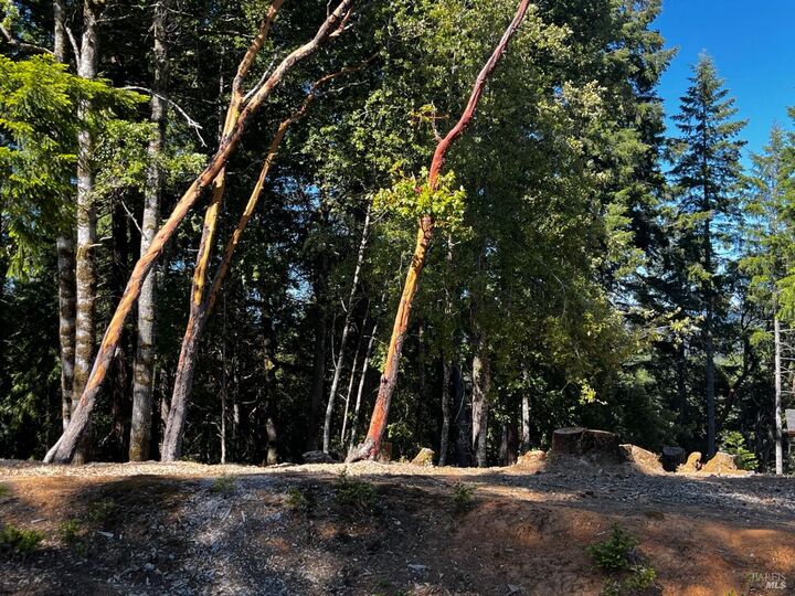 Property Photo:  2374 Goose Road  CA 95490 