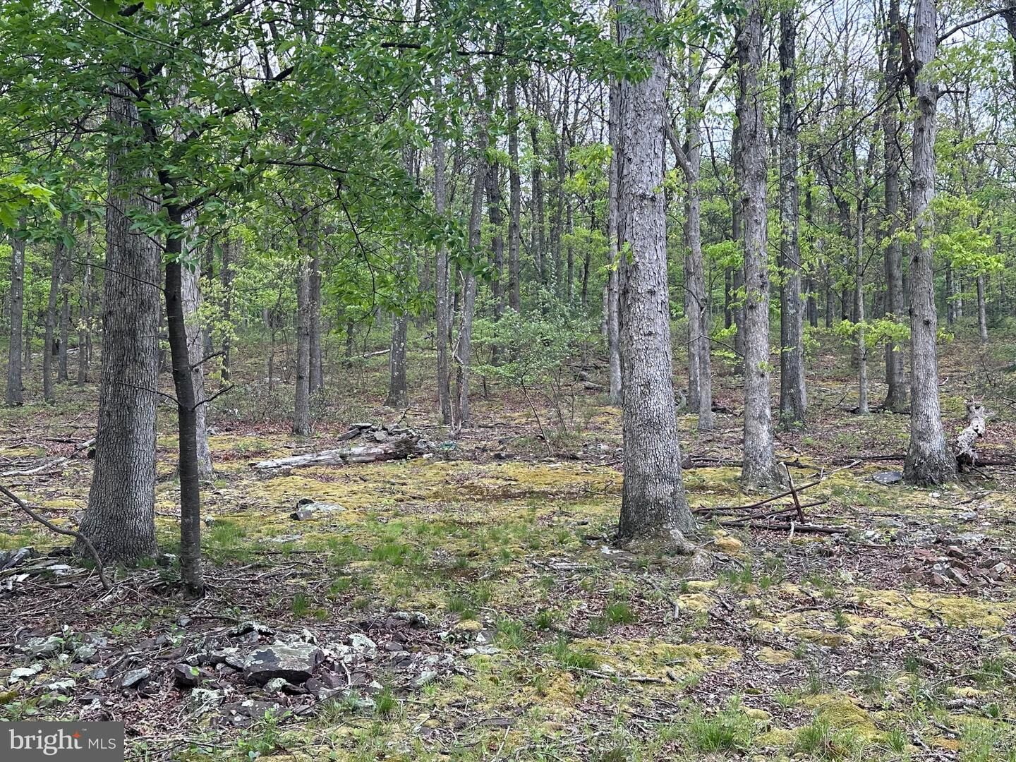 Property Photo: 0 Cut Off Road WV 26726