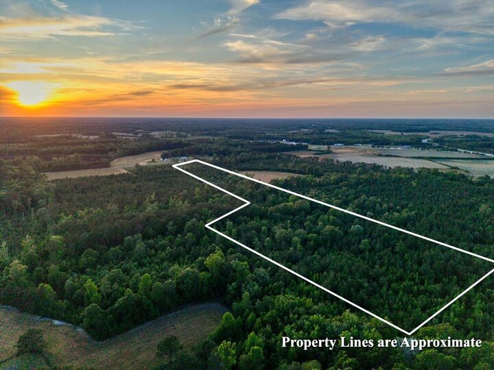 Property Photo:  240 Guess Rd.  SC 29056 