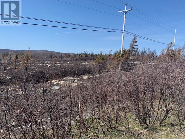 Property Photo:  Main Road 127-147  NL A0A 1L0 