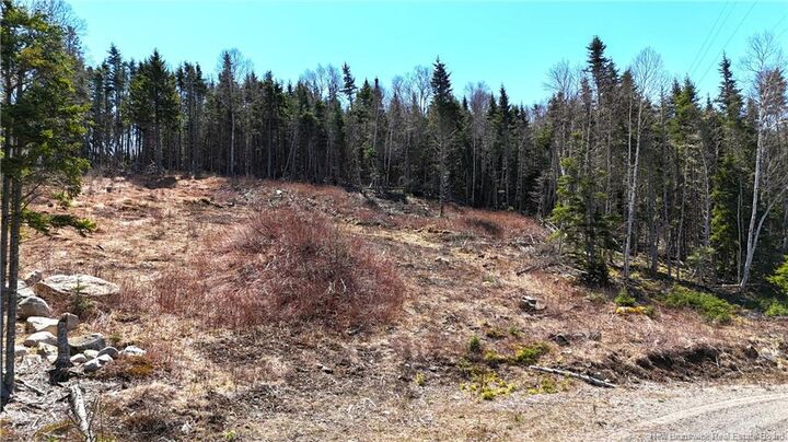 Lot 18-03 Damian Lane — photo 1