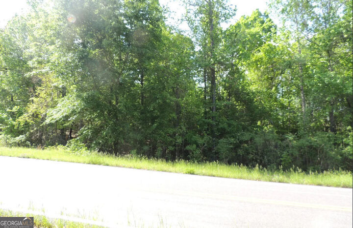 Property Photo:  0 Causey Rd  GA 31050 