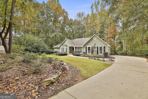 Property Photo:  20 Audubon Point  GA 30265 