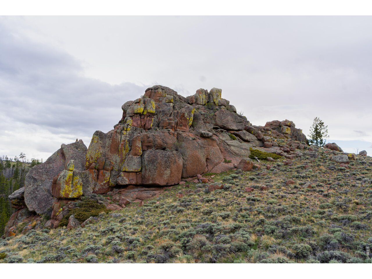 Property Photo:  0 Laramie Overlook Rds  CO 80536 
