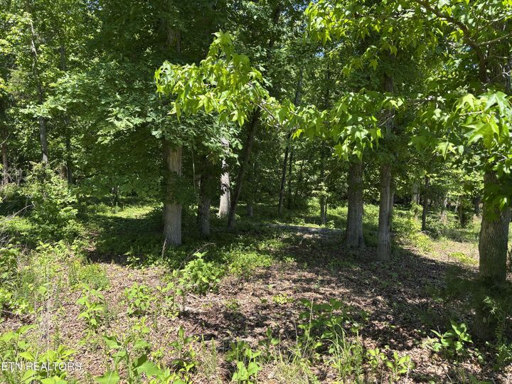 Property Photo: E Shore Drive TN 37854