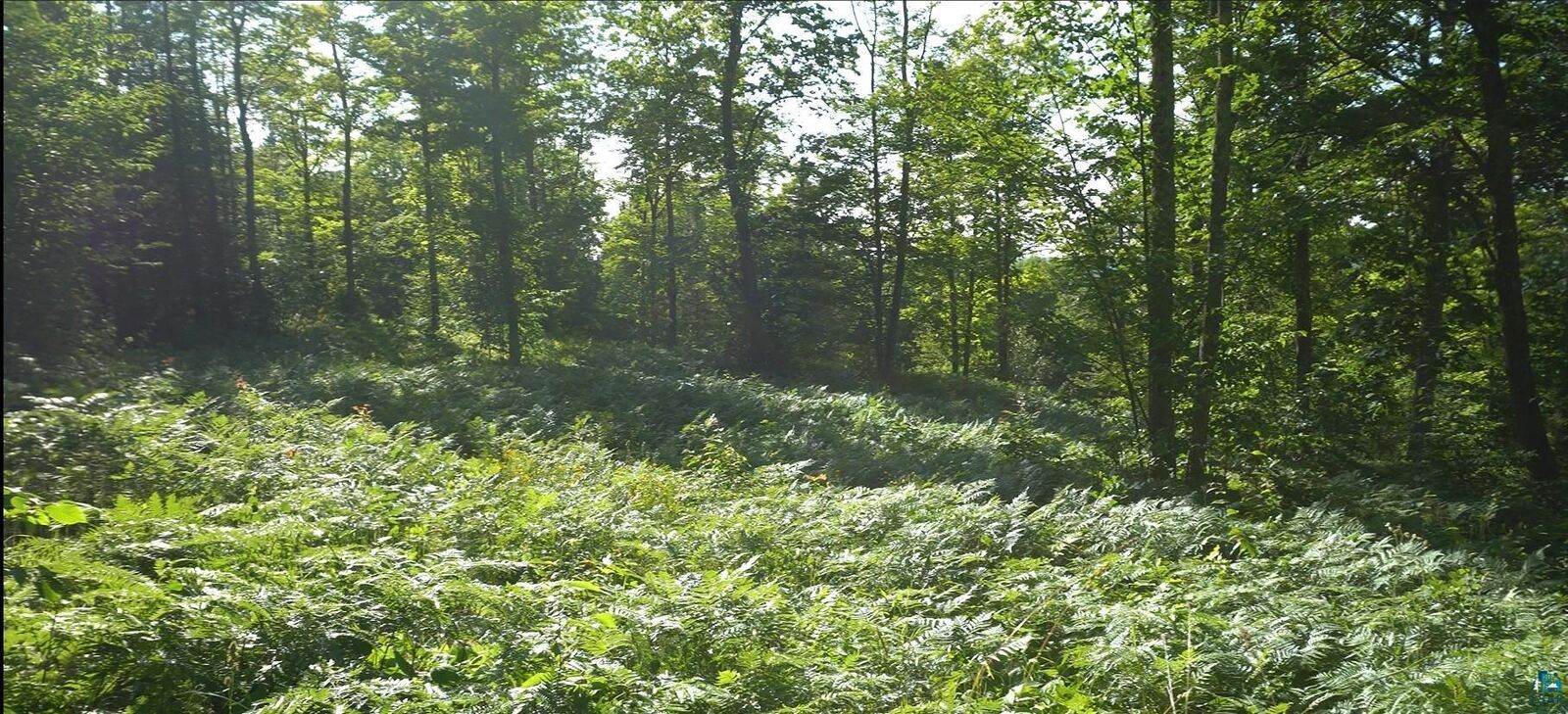 Property Photo:  83xxx Ashwabay Heights Rd  WI 54814 