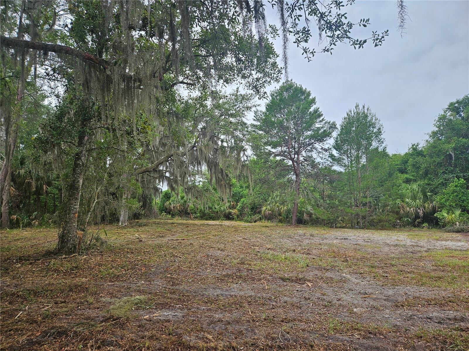 Property Photo:  000 Culver Way  FL 32732 