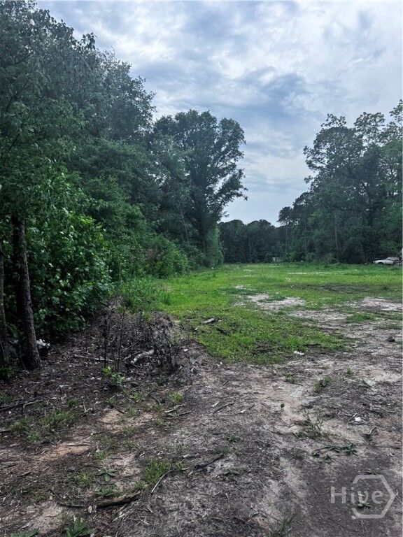 Property Photo: 0 Fort Argyle Road GA 31419