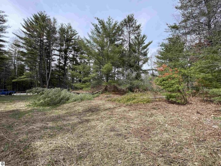 Property Photo:  00 Mackinac Trail  MI 49655 