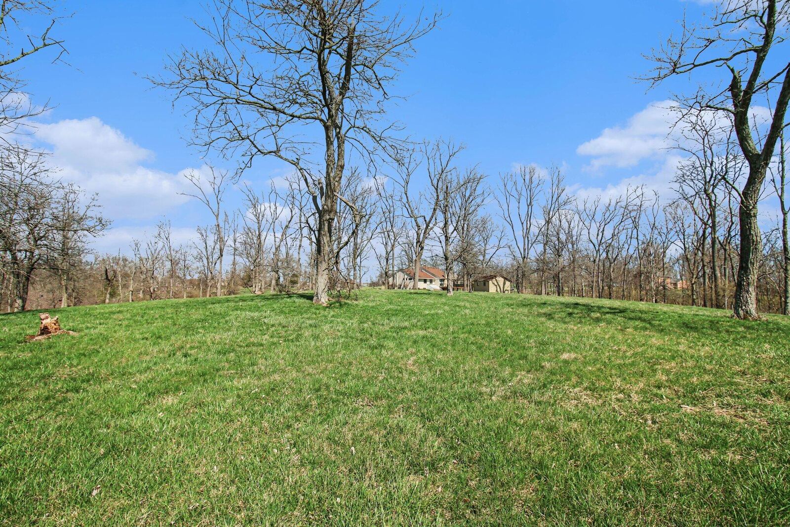 Property Photo:  699 Aylor Lane  KY 41094 