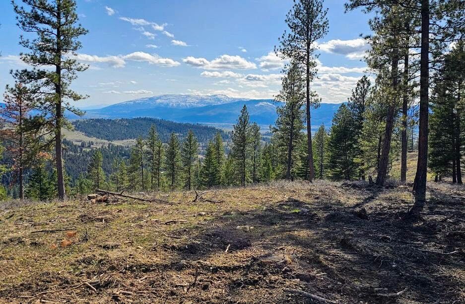 Property Photo:  3485 Ridge View Road  MT 59808 