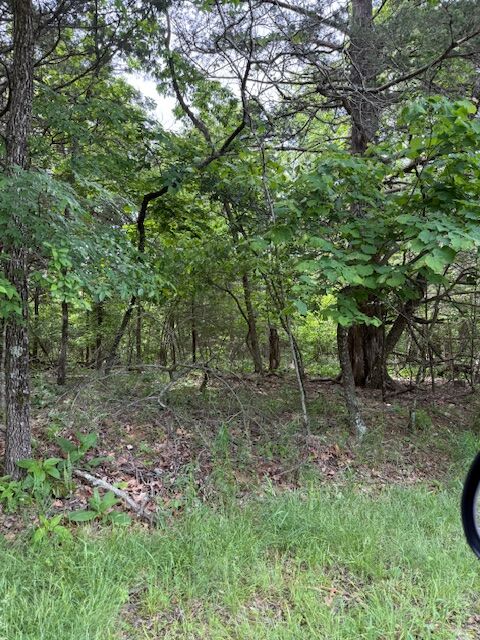 Property Photo:  Lot 67 Rocky Ridge Place  AR 72732 
