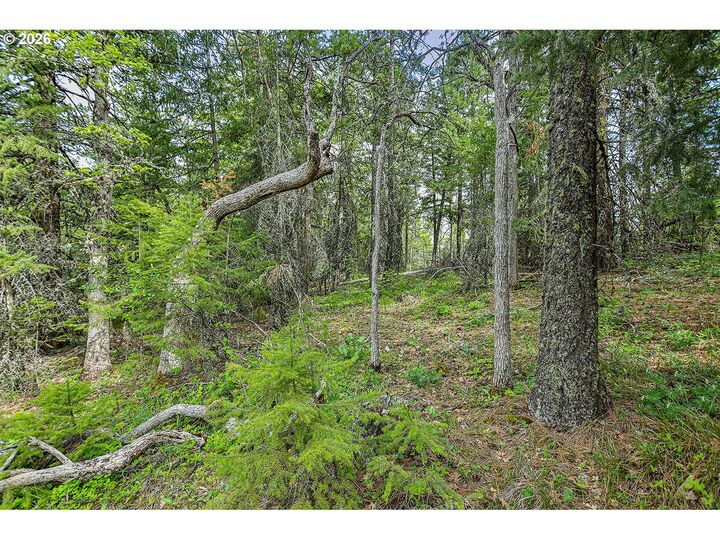 Property Photo: Nka N Lake Dr 24 WA 98620