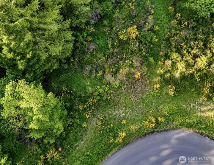 Property Photo:  15313  Sunnyside Lane SE  WA 98509 