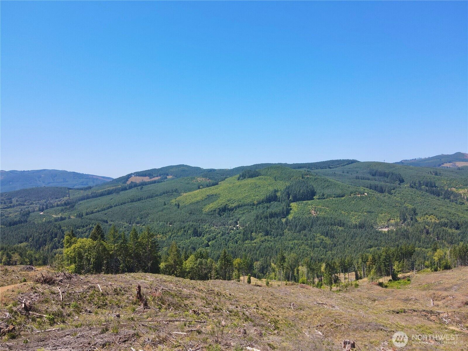 Property Photo:  3700  Little Kalama River Road 6  WA 98584 