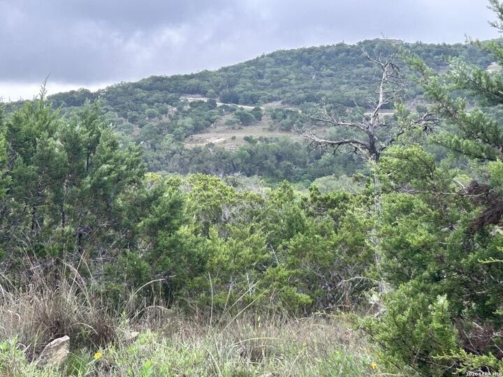 Property Photo: 239 Estancia Ln TX 78006