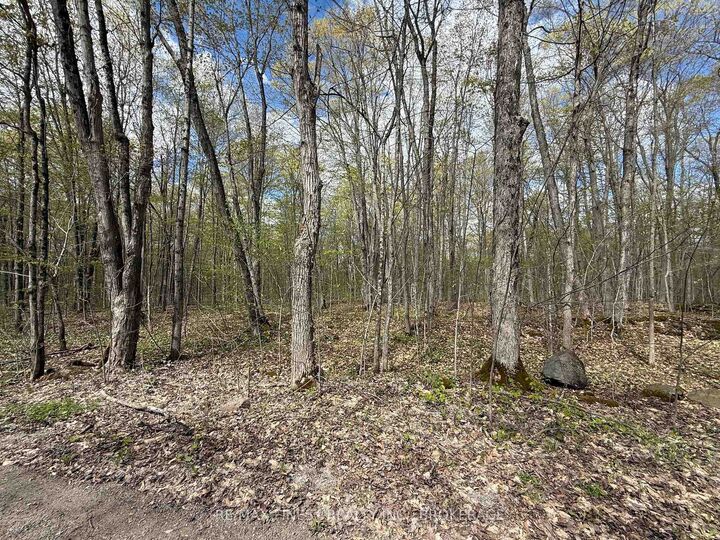 Property Photo: 162 Black Rapids Road ON K0E 1N0