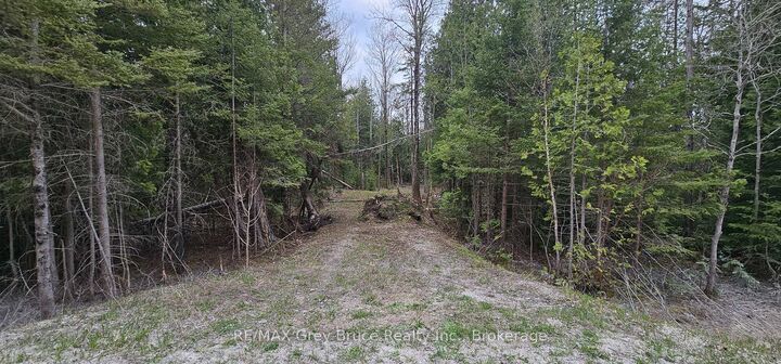 43 Hardwick Cove Road — photo 1