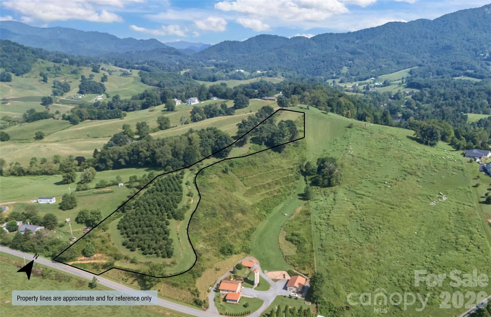 Property Photo:  00000 Buck Ridge Road  NC 28785 