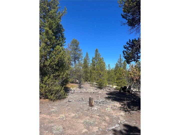 Property Photo:  266 Ponderosa Dr  CO 80461 
