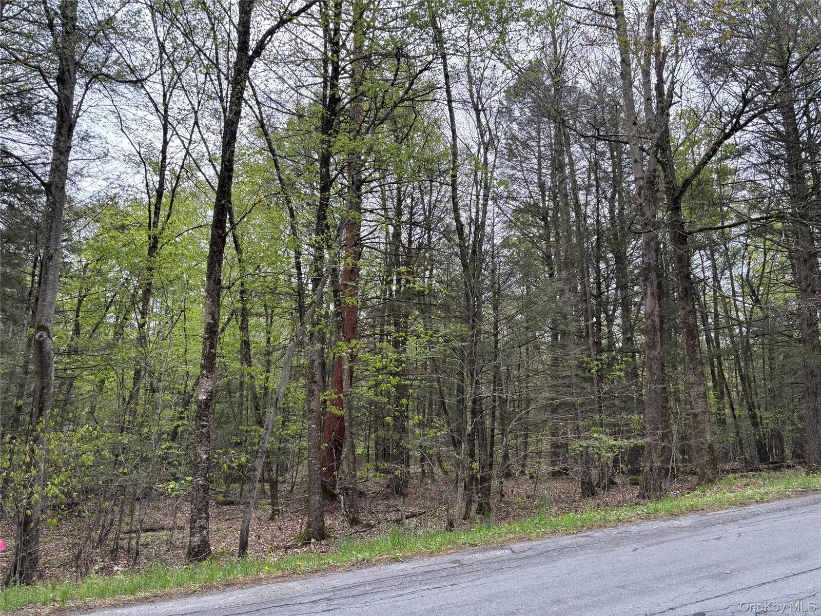 Property Photo:  Braden Road  NY 12763 