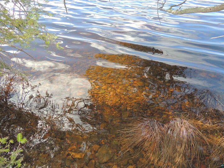 Property Photo:  76xx Gunflint Tr  MN 55604 
