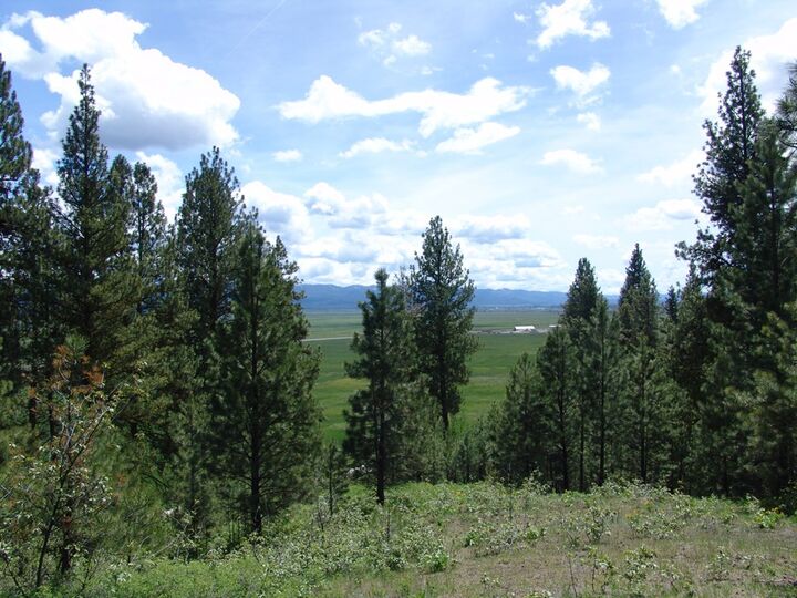 Property Photo:  28 Rehn Loop  ID 83611 