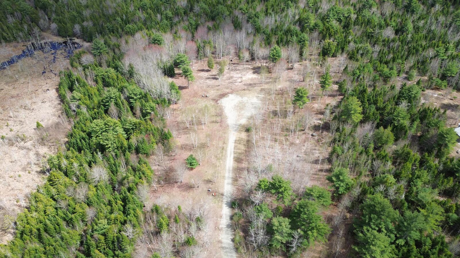 Property Photo: Lot 16 Bailey Mountain Road ME 04634