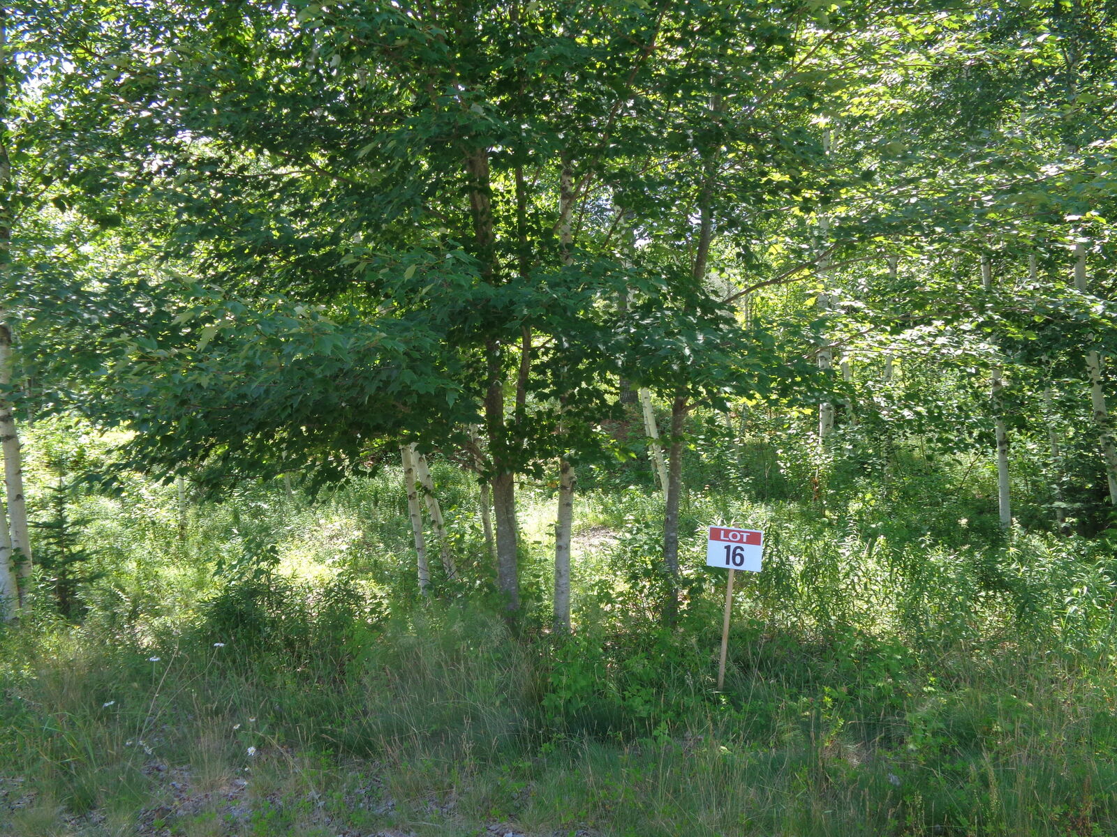 Property Photo: Lot 16 Bailey Mountain Road ME 04634