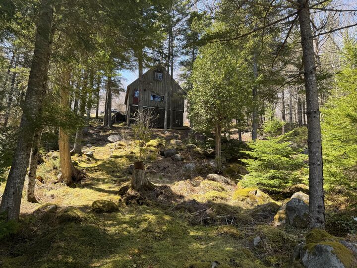 Property Photo:  279 Carry Ridge Road  ME 04654 